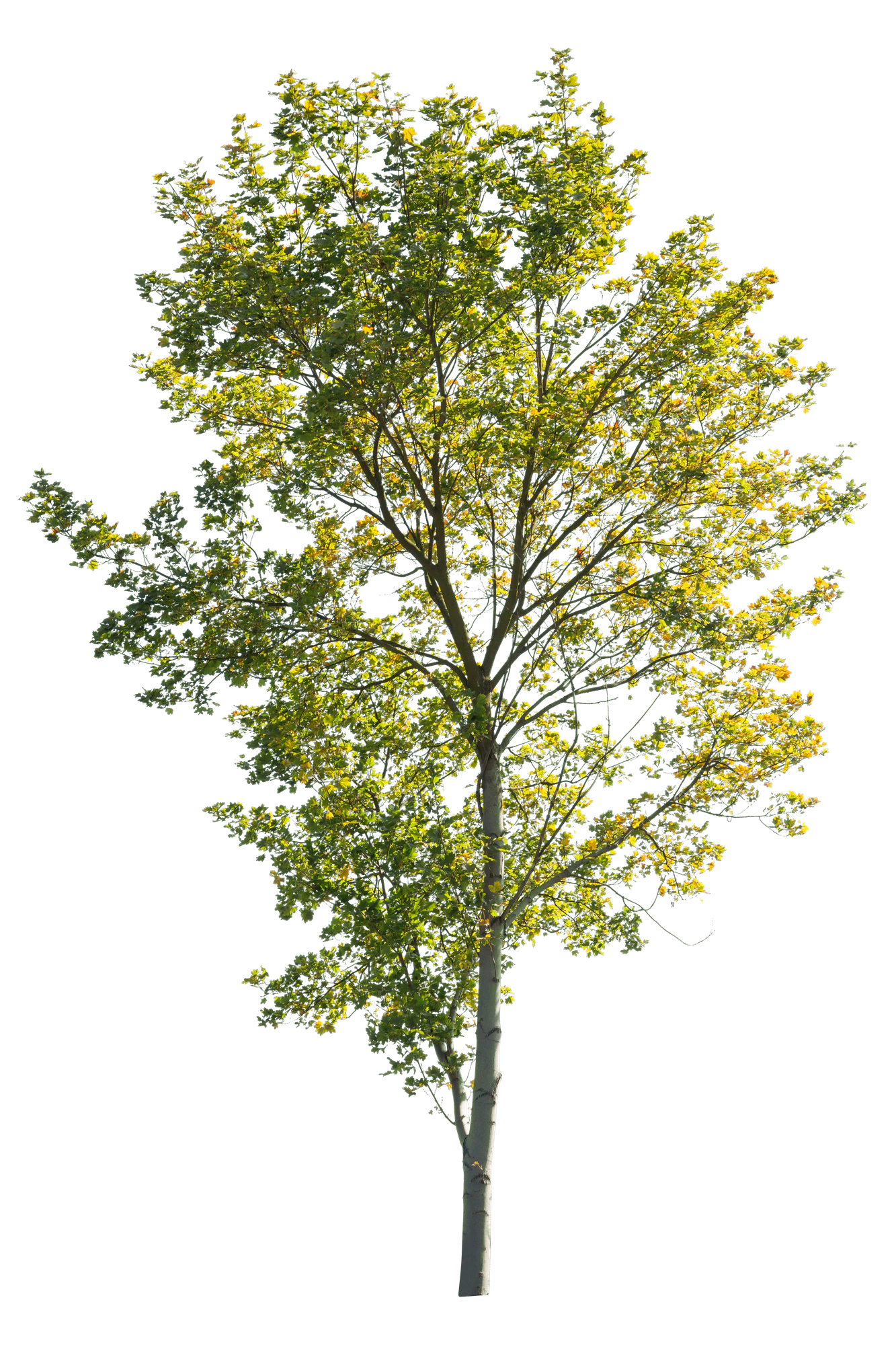 autumn 045 — Скачать