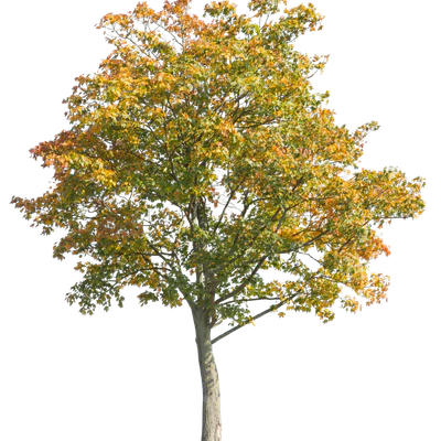 autumn 052 — Descargar