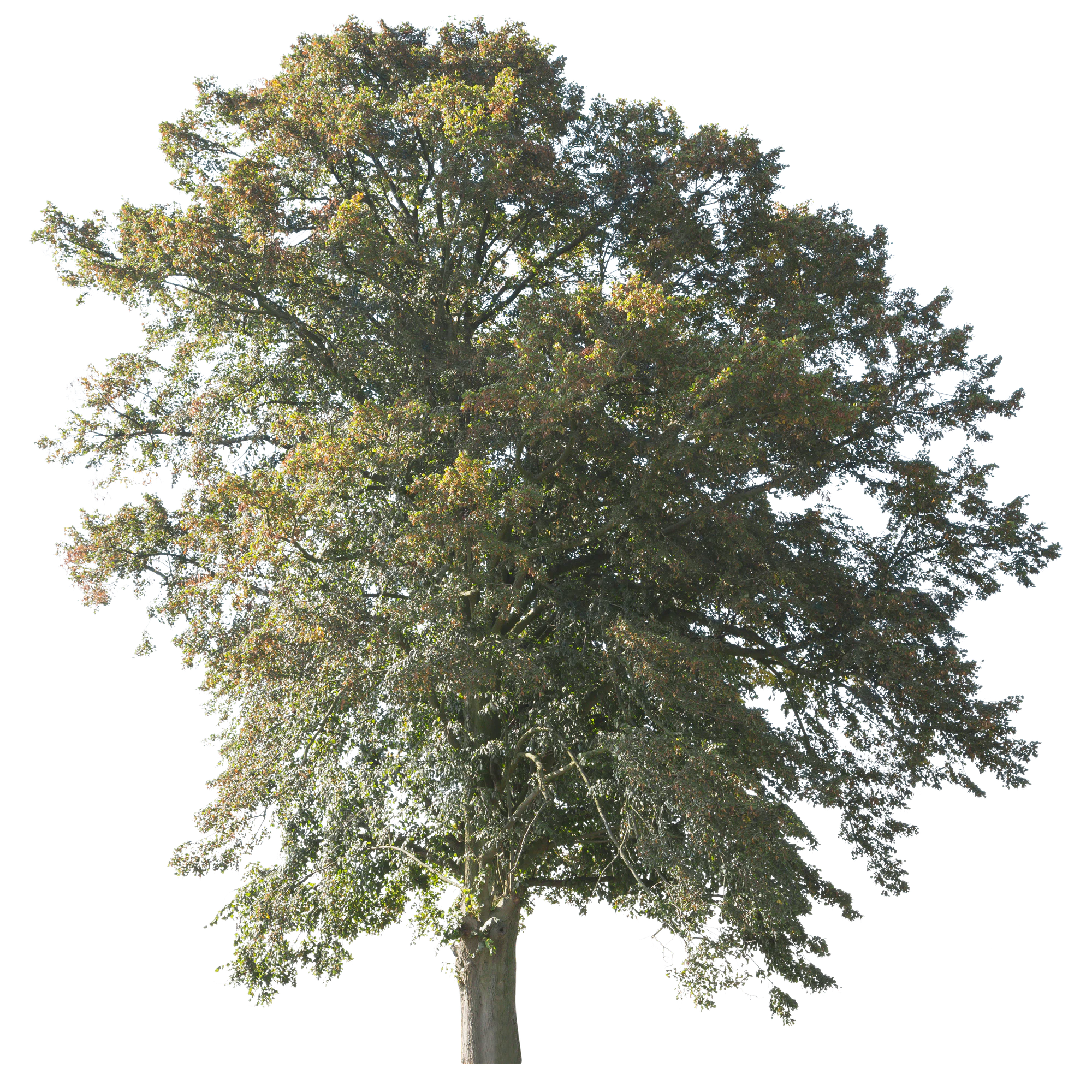 autumn 053 — Descargar