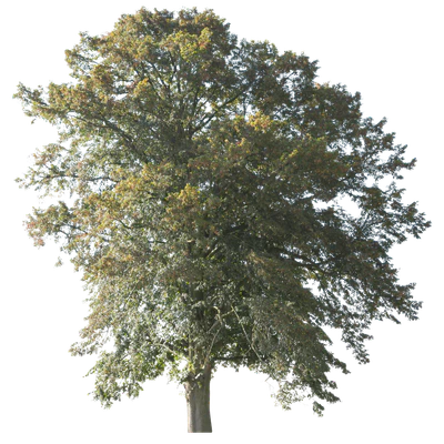autumn 053 — Descargar