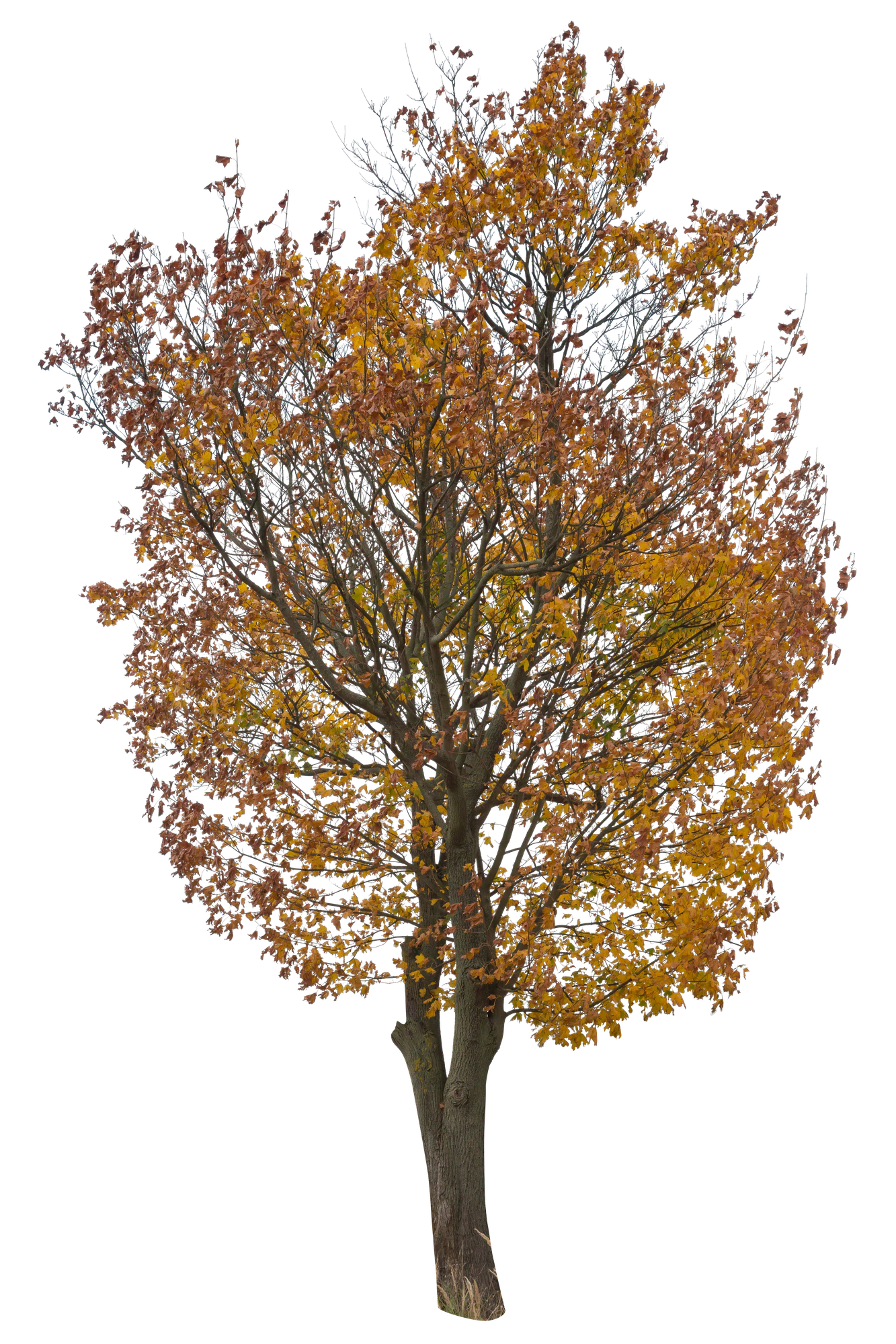 autumn 054 — Скачать