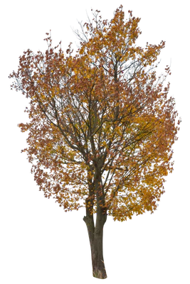 autumn 054 — Скачать