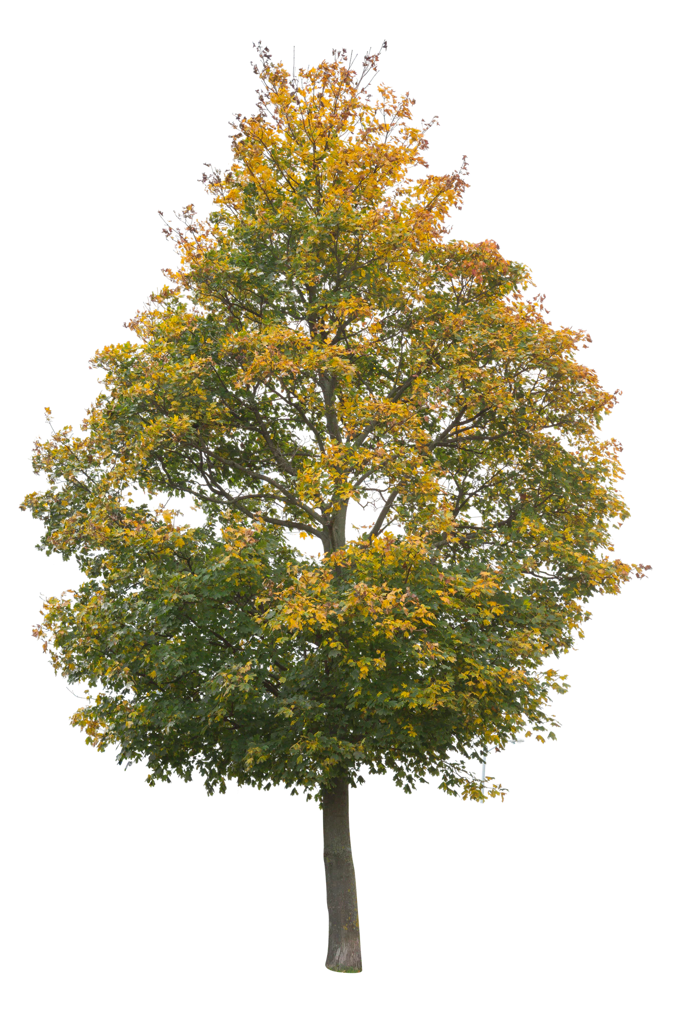 autumn 055 — Скачать