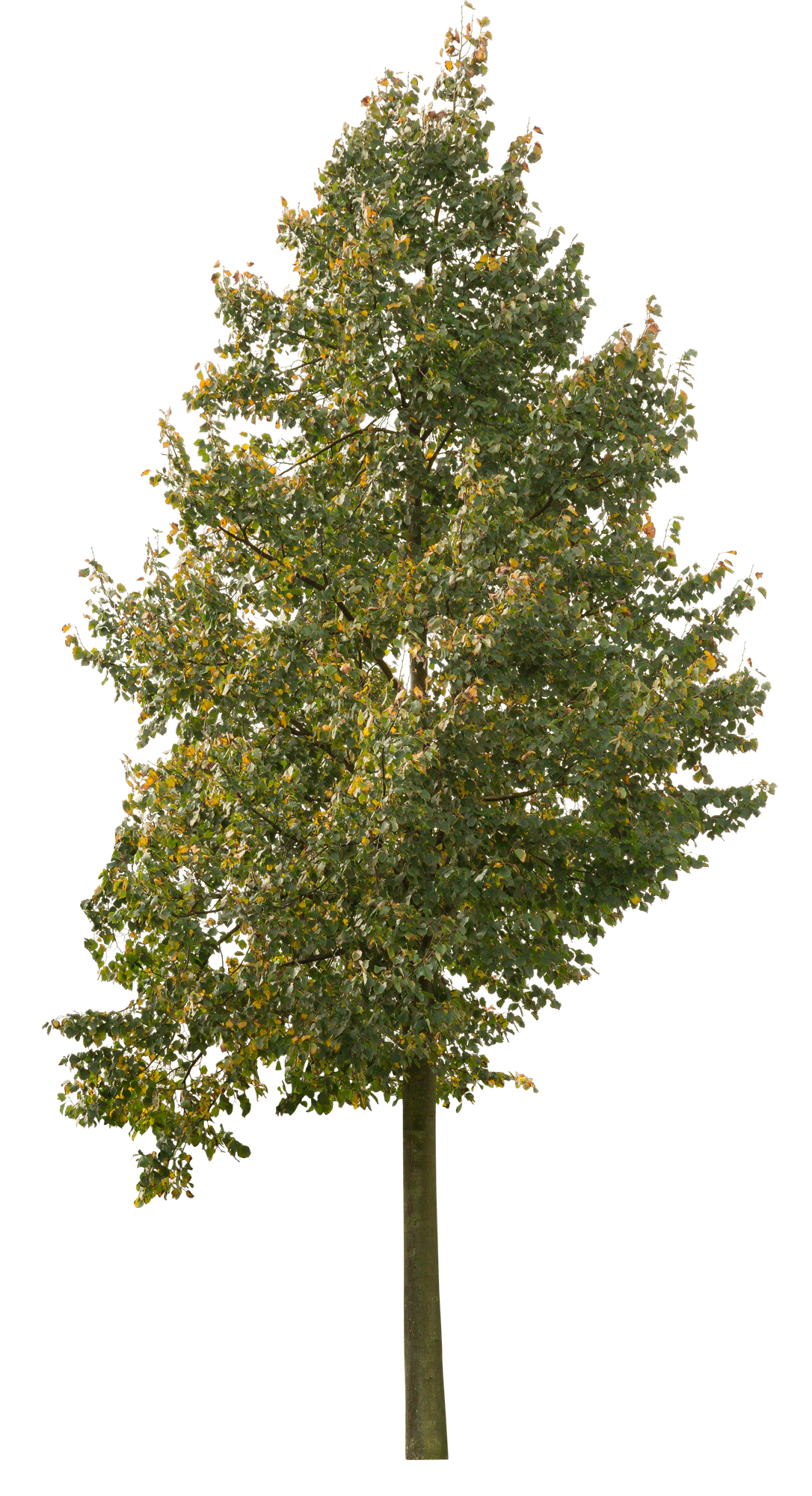 autumn 056 — Скачать