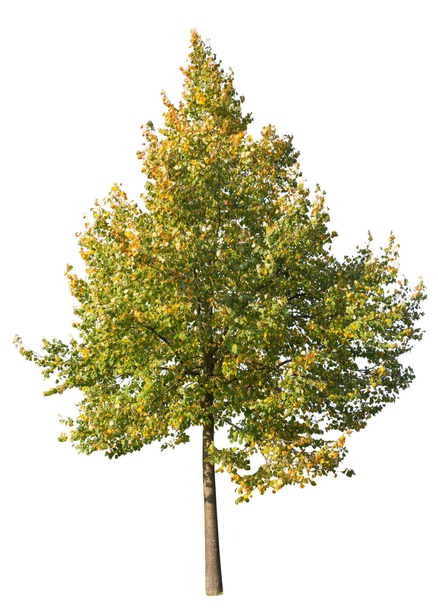 autumn 059 — Скачать