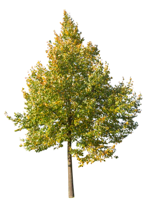 autumn 059 — Скачать