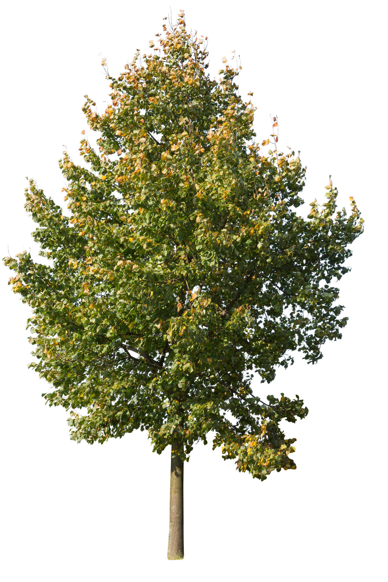 autumn 064 — Скачать