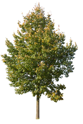 autumn 064 — Скачать