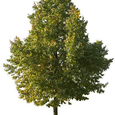 autumn 065 — Скачать