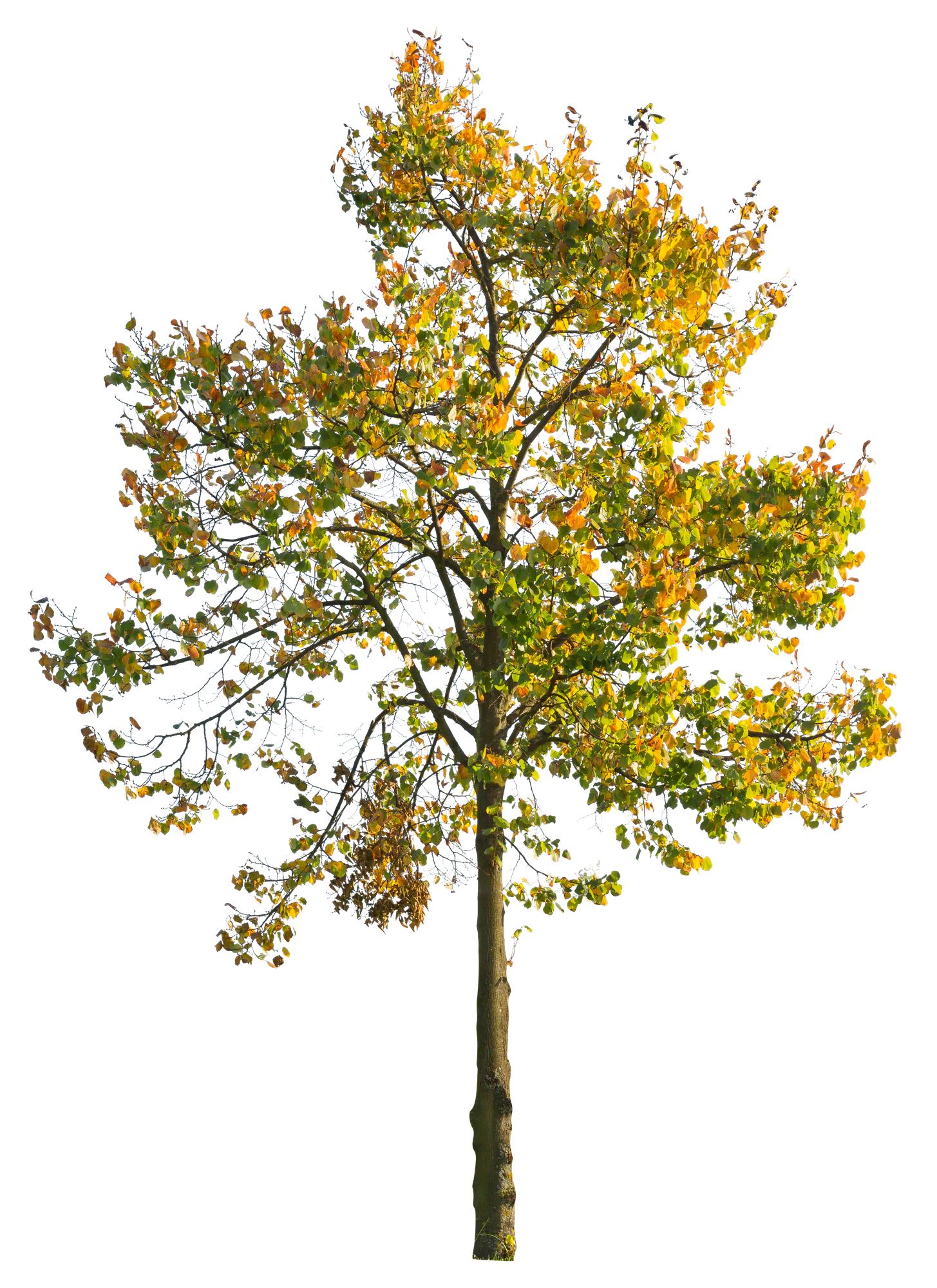 autumn 066 — Скачать