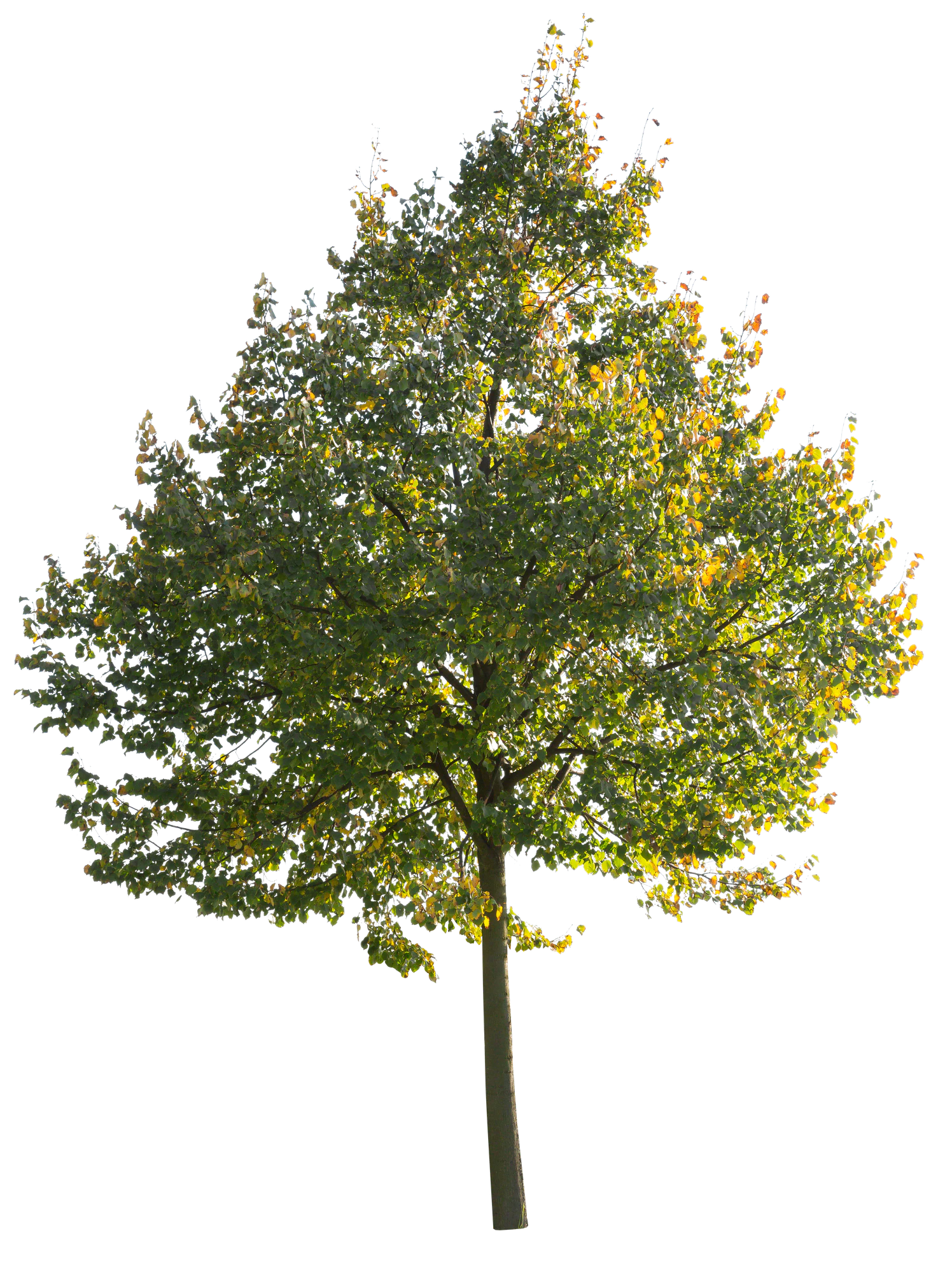 autumn 069 — Descargar
