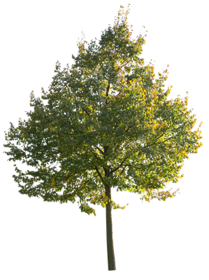 autumn 069 — Descargar