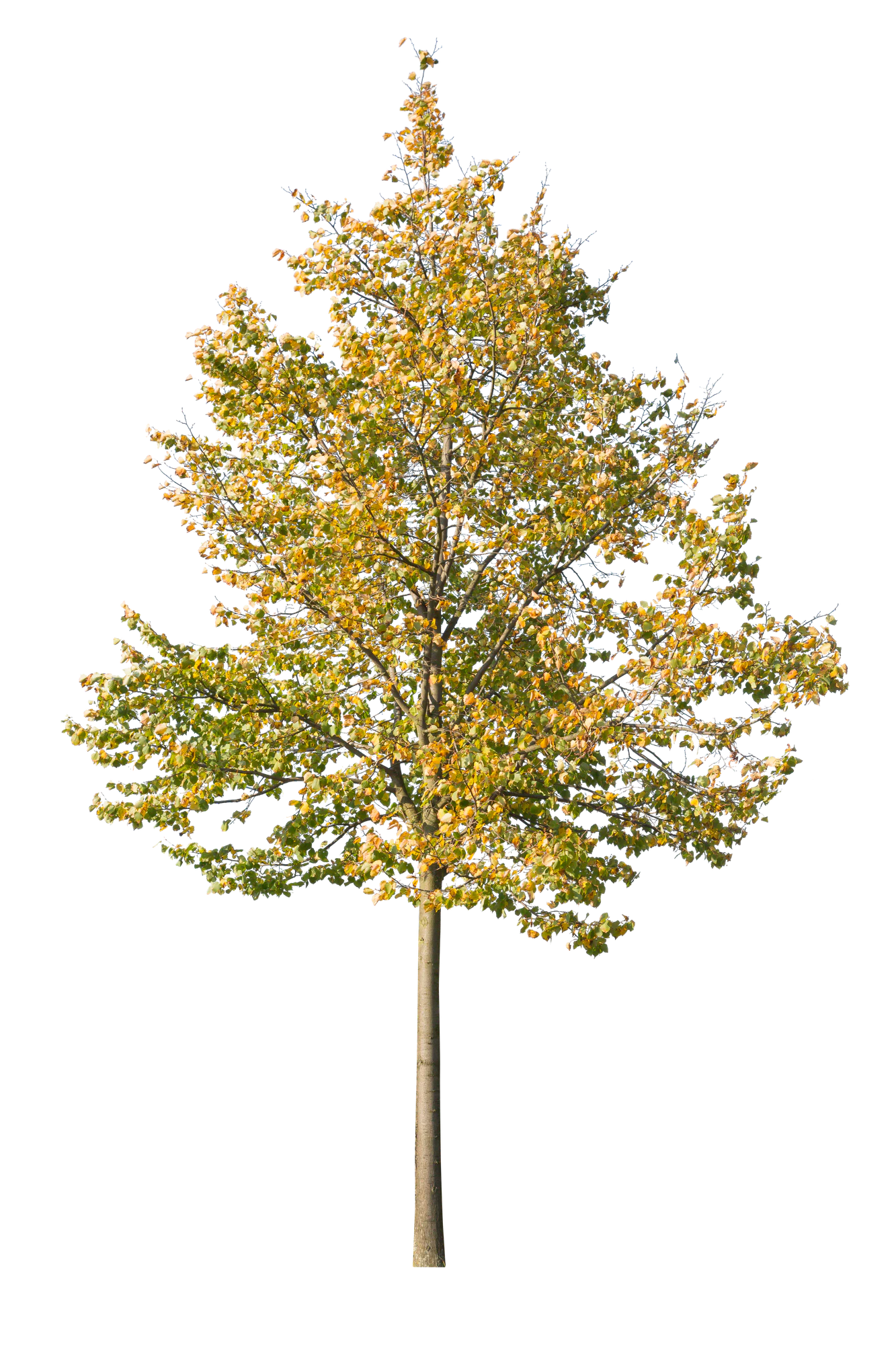autumn 071 — Скачать