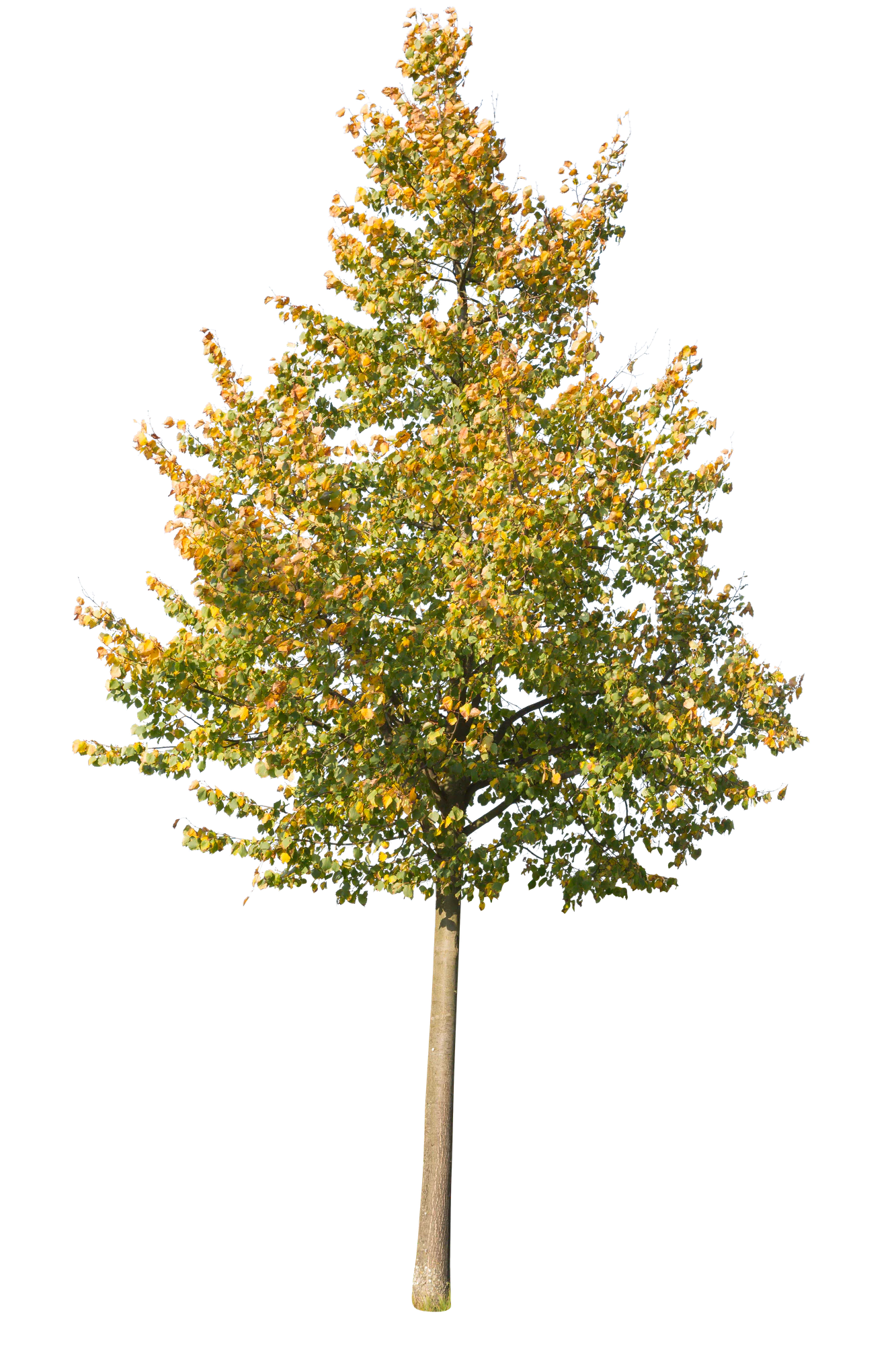 autumn 072 — Скачать