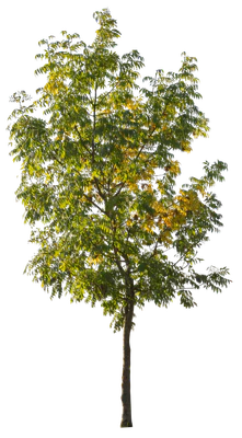 autumn 077 — Скачать