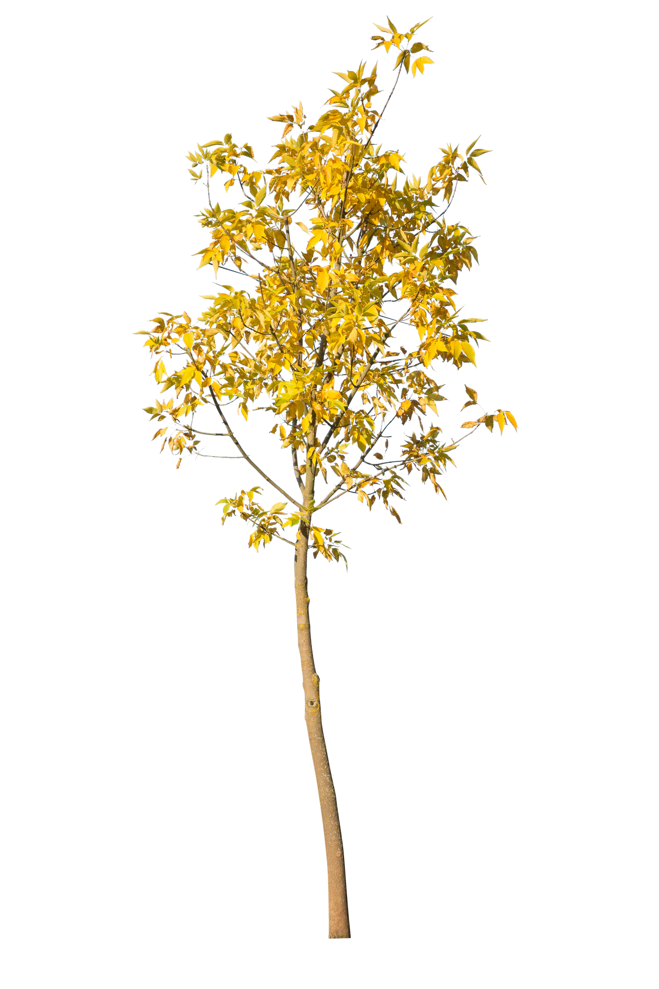 autumn 094 — Скачать