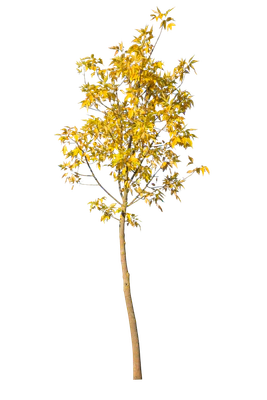 autumn 094 — Скачать