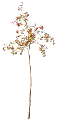 autumn 098 — Descargar