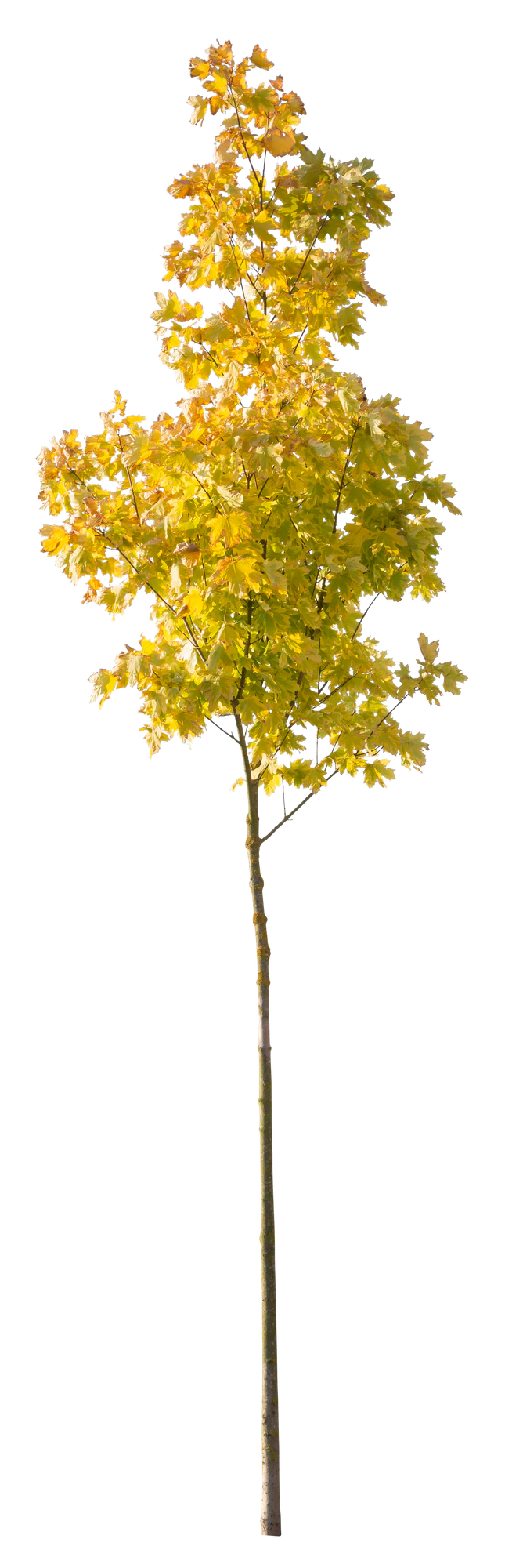 autumn 103 — Скачать