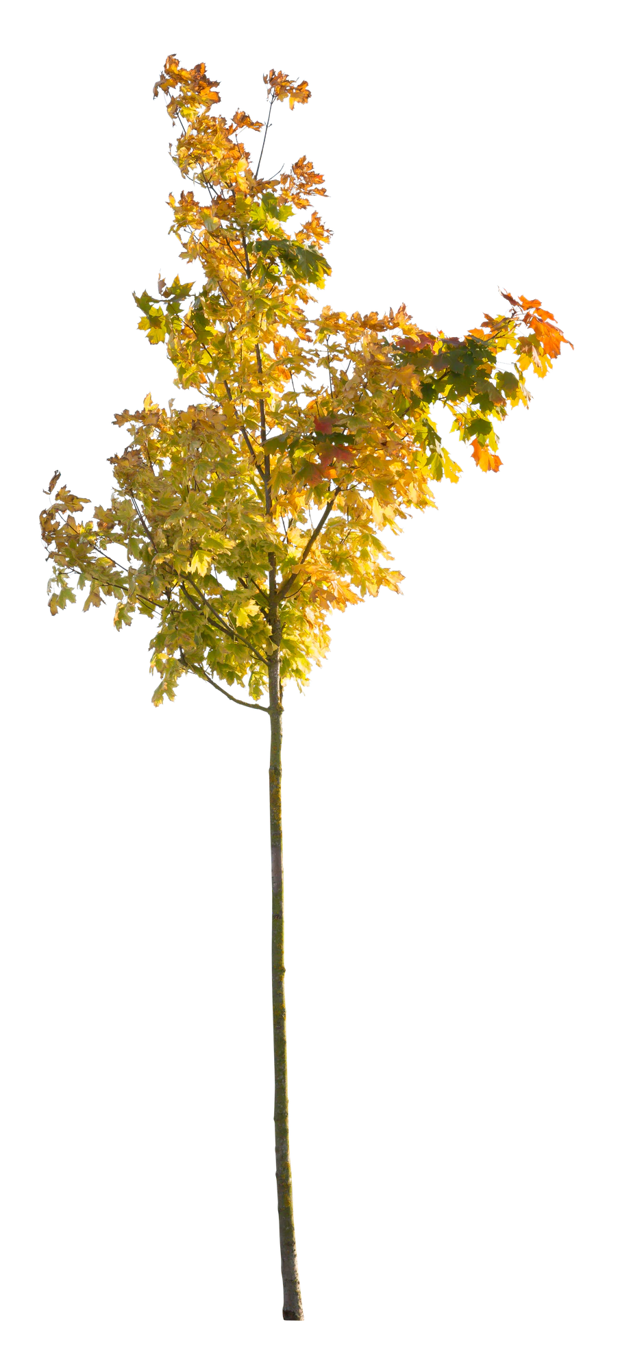 autumn 107 — Скачать