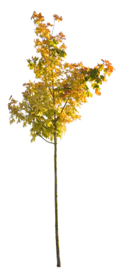 autumn 107 — Скачать