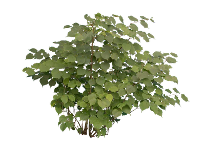 bushes m 024 — Скачать