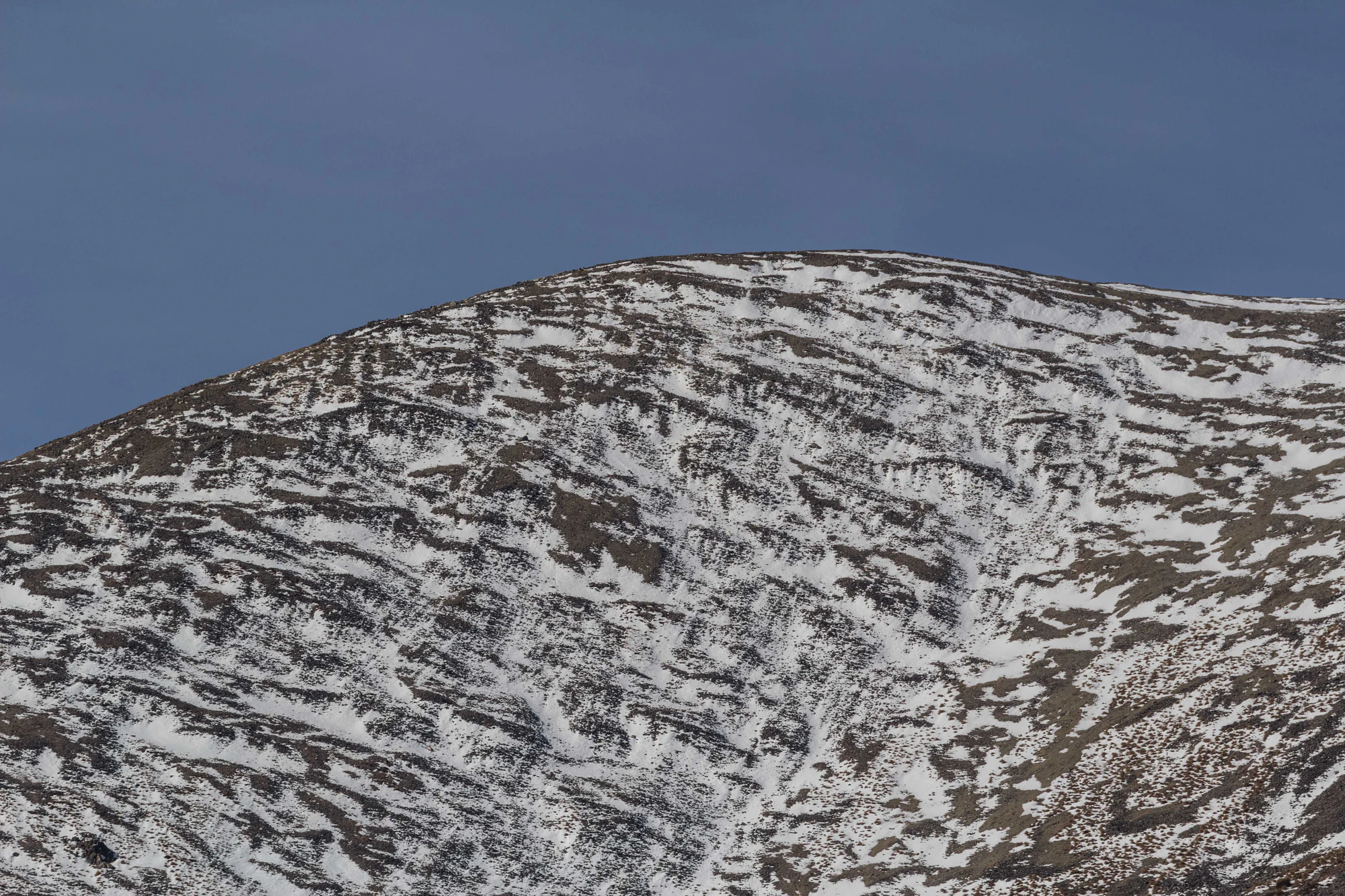 bald brown hills 004 — Скачать