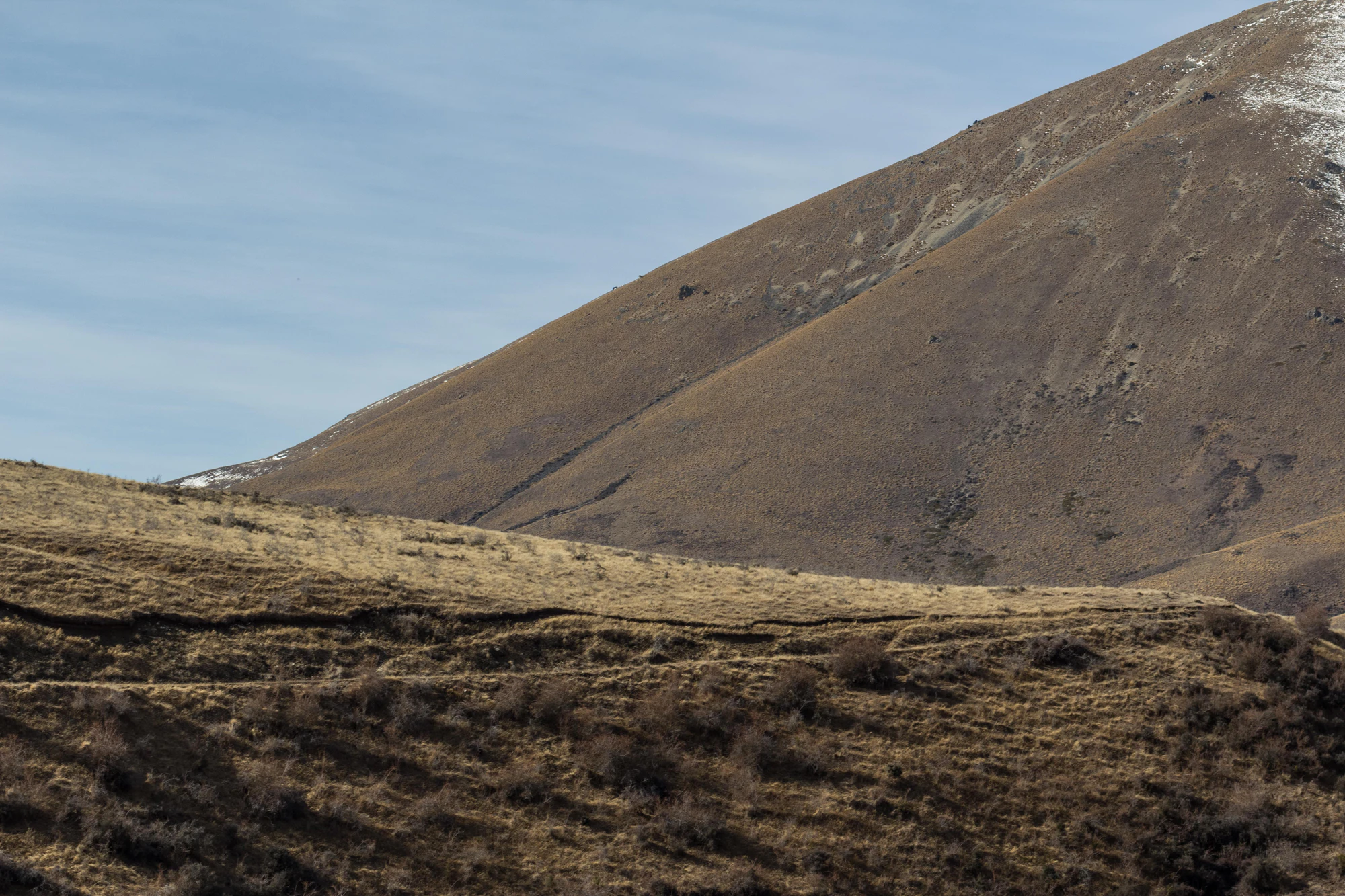 bald brown hills 006 — Descargar
