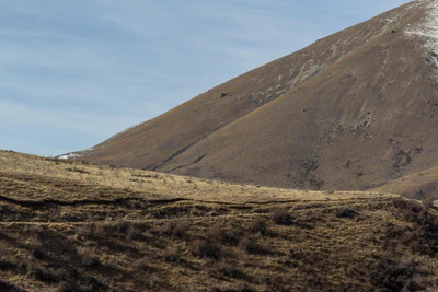 bald brown hills 006 — Descargar