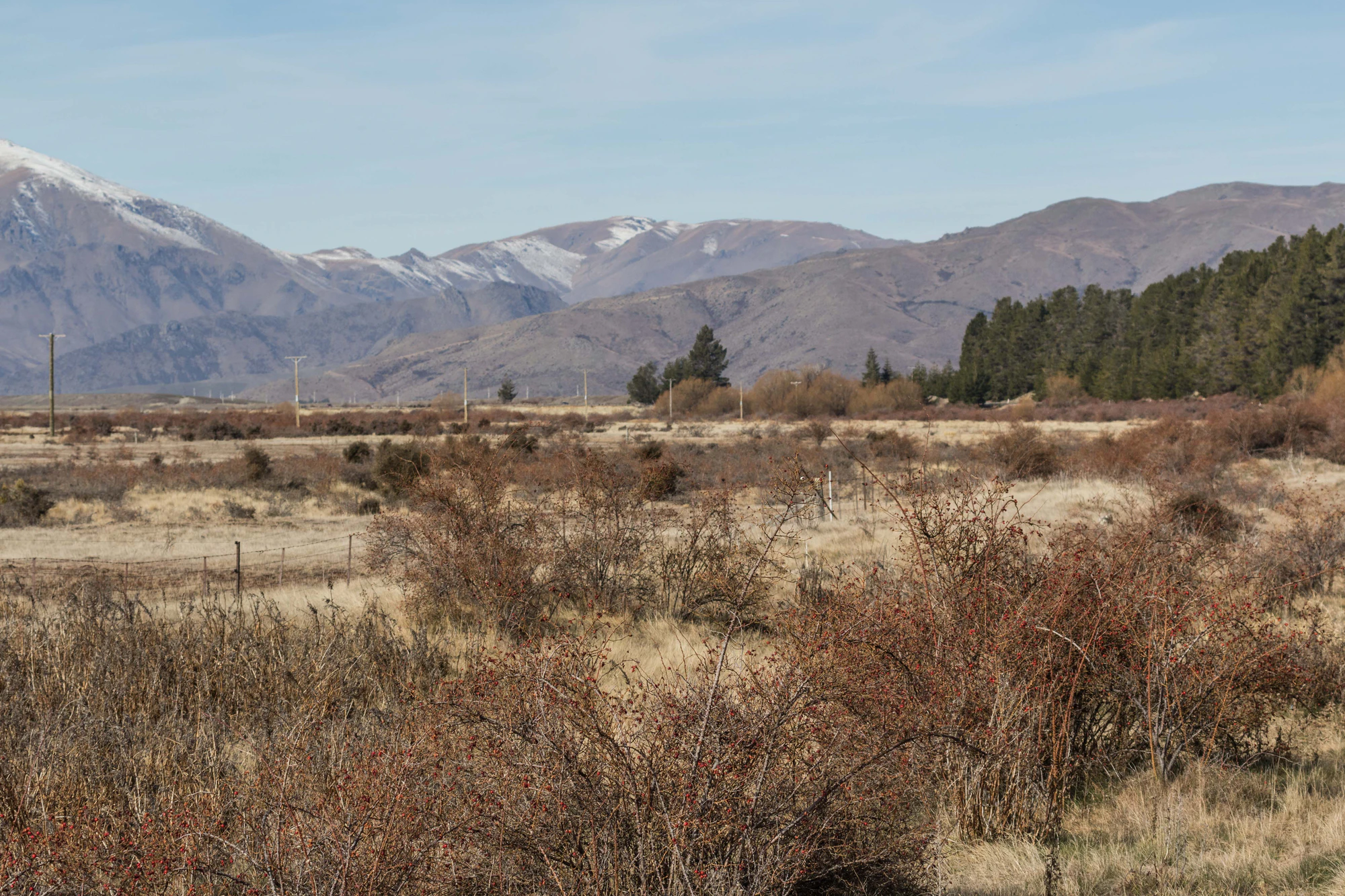 bald brown hills 008 — Download