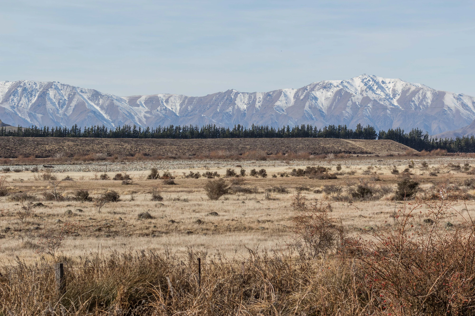 bald brown hills 009 — Скачать