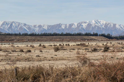 bald brown hills 009 — Скачать
