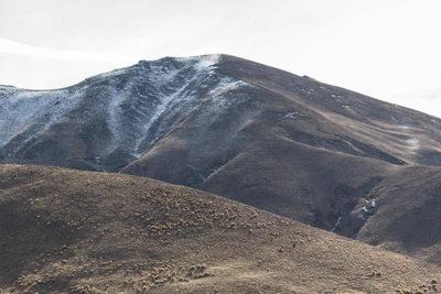 bald brown hills 011 — Скачать
