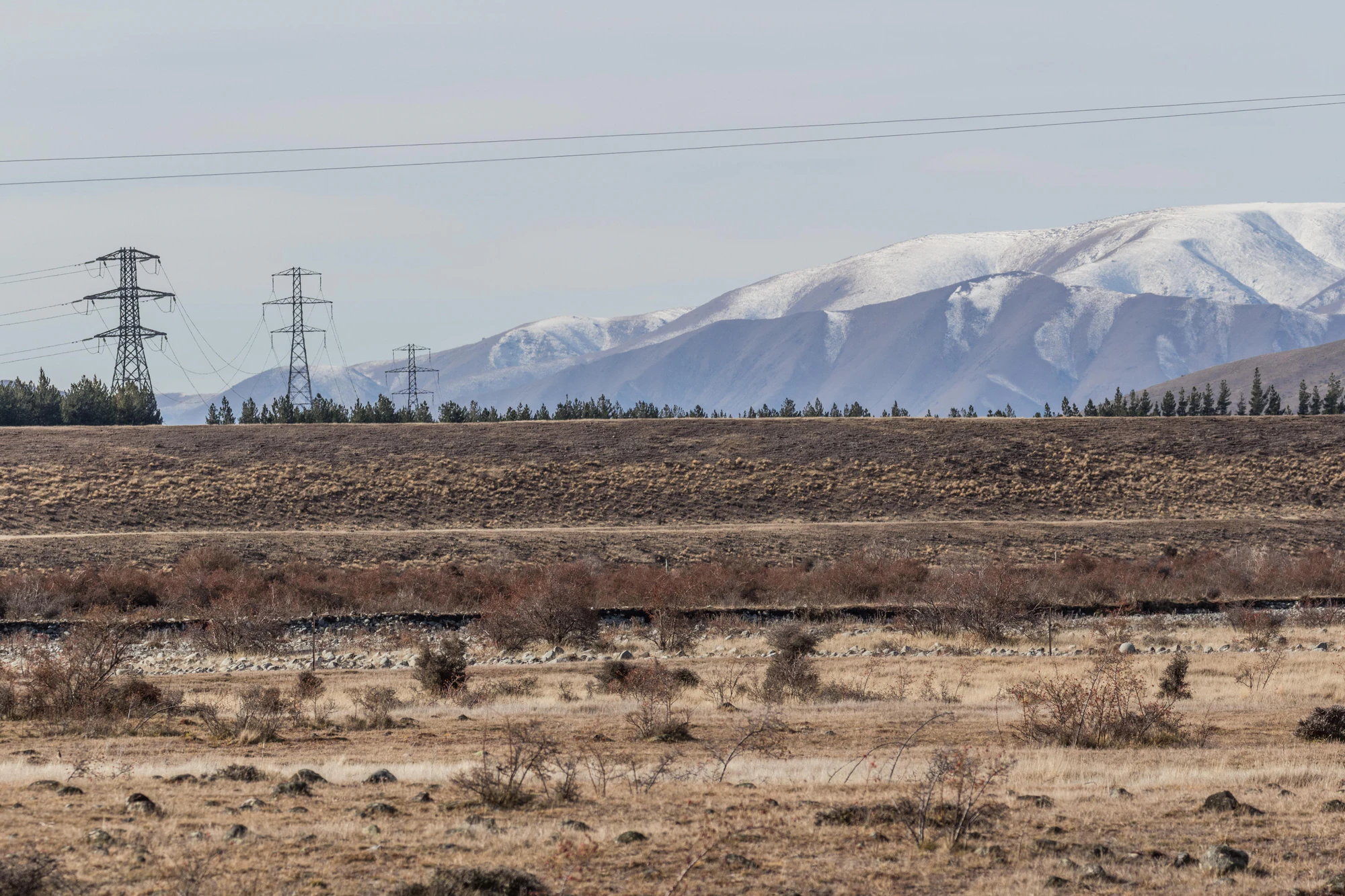 bald brown hills 012 — Descargar