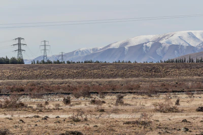 bald brown hills 012 — Descargar