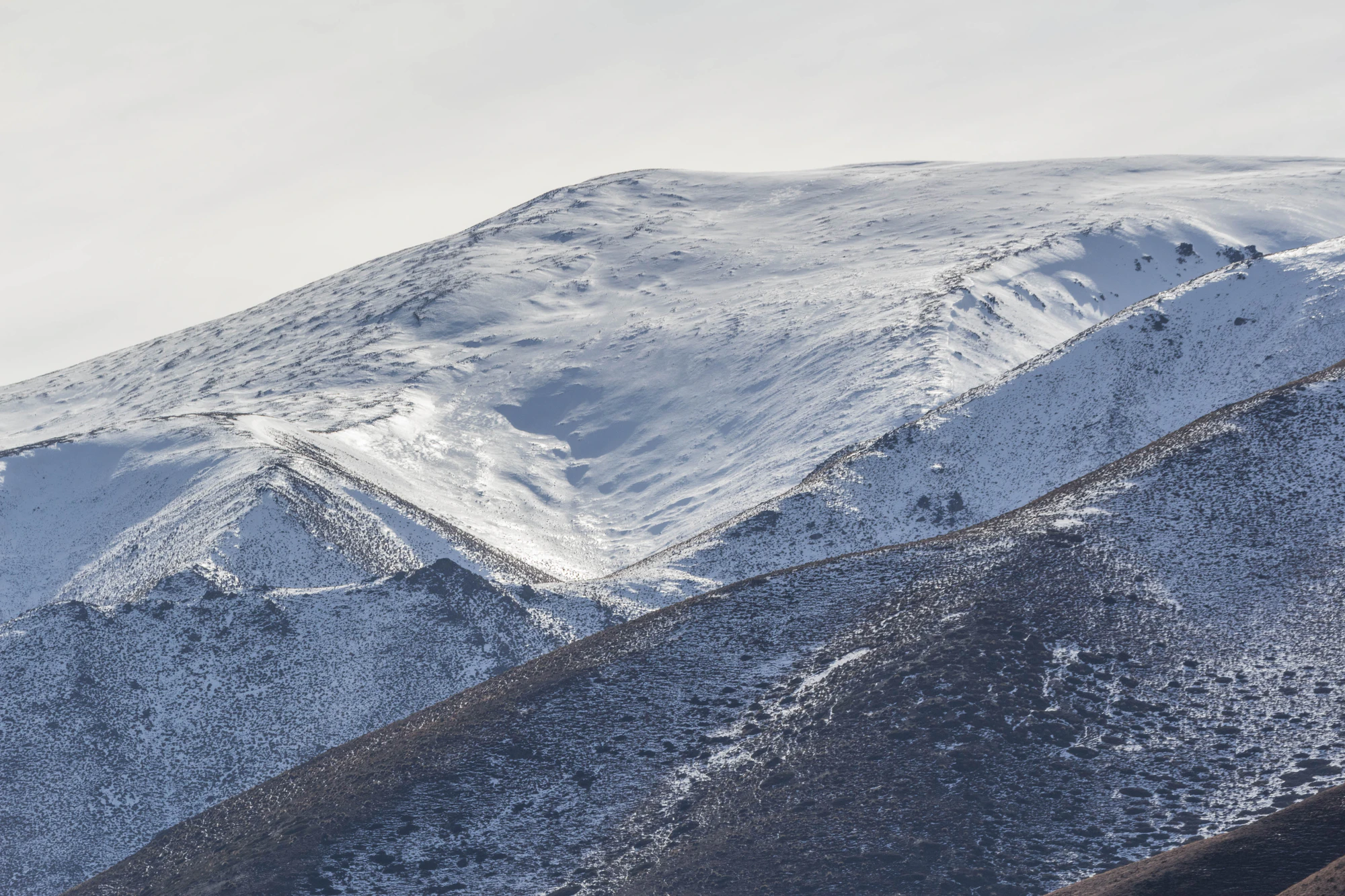 bald brown hills 018 — Скачать