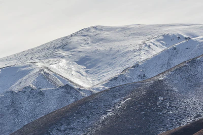 bald brown hills 018 — Скачать