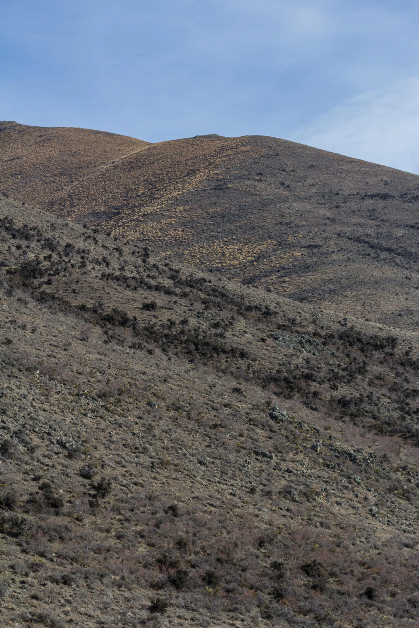 bald brown hills 024 — Descargar