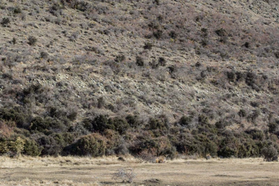 bald brown hills 025 — Download
