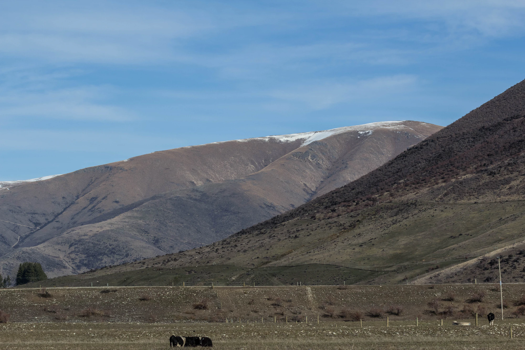 bald brown hills 038 — Descargar