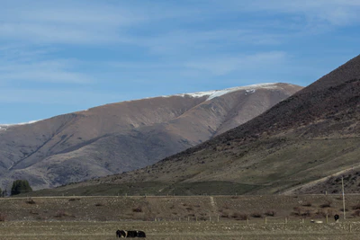 bald brown hills 038 — Descargar