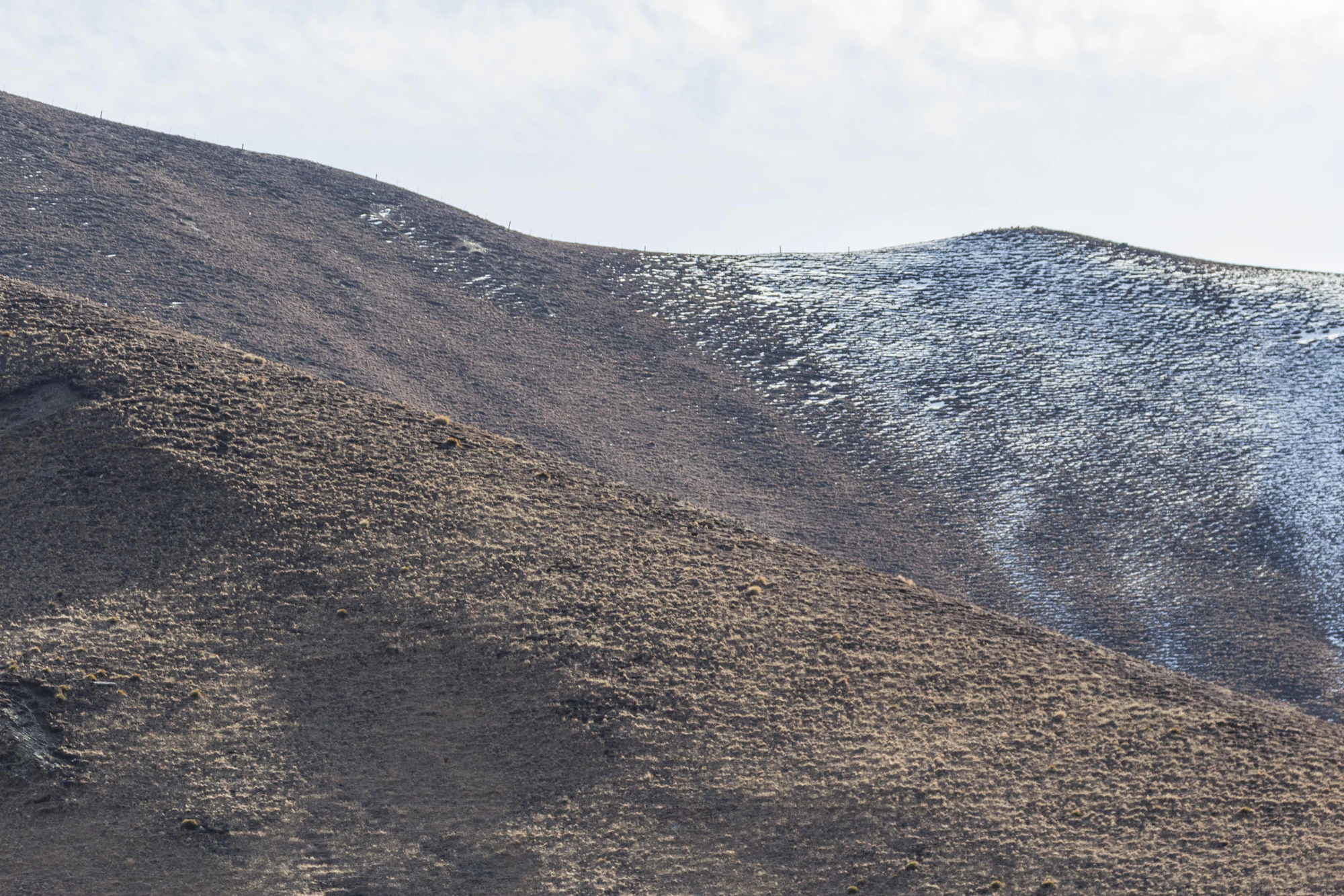 bald brown hills 039 — Descargar