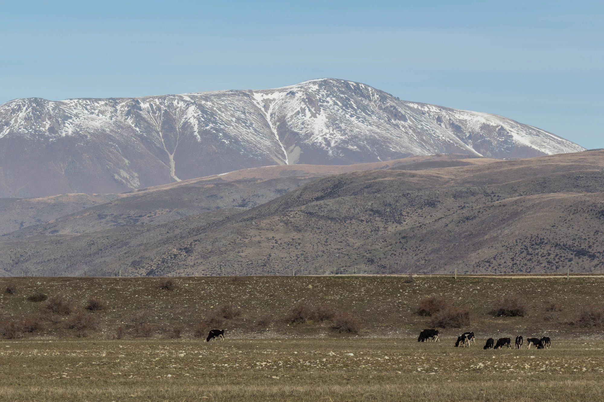 bald brown hills 040 — Скачать