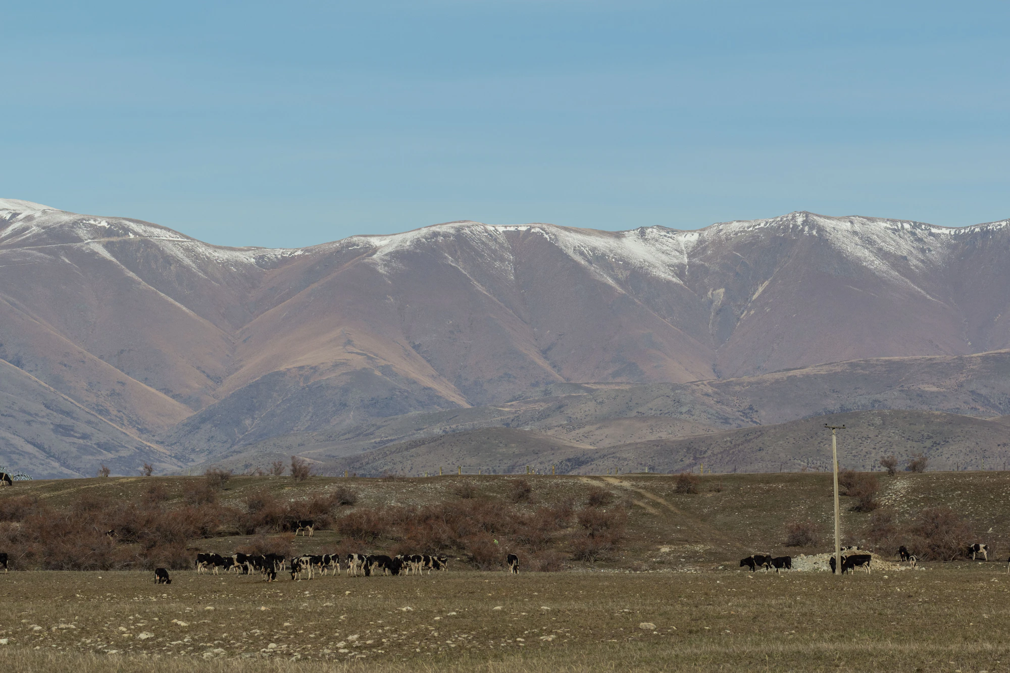 bald brown hills 041 — Descargar