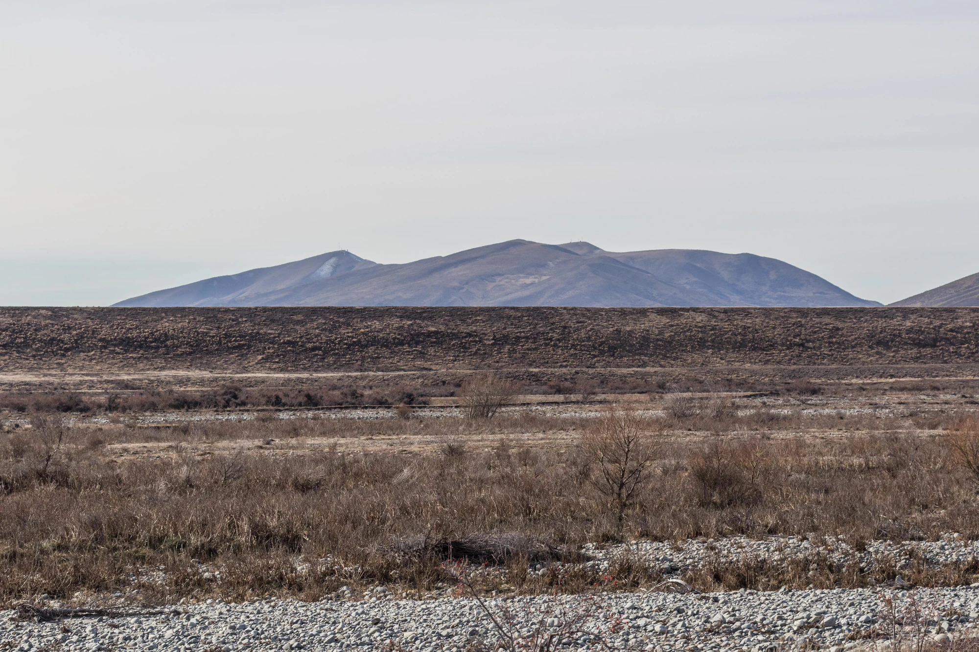 bald brown hills 044 — Скачать