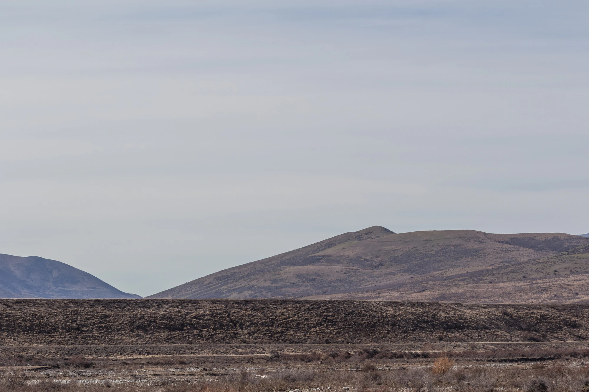bald brown hills 045 — Descargar