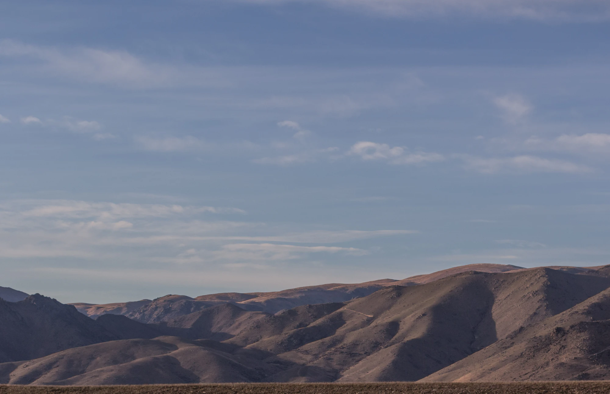 bald brown hills 054 — Скачать