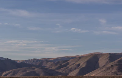 bald brown hills 054 — Скачать