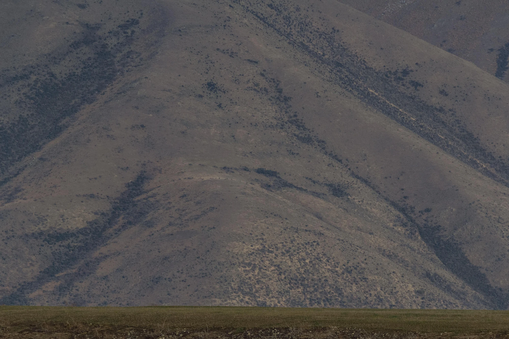 bald brown hills 060 — Descargar