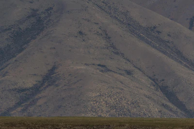 bald brown hills 060 — Descargar